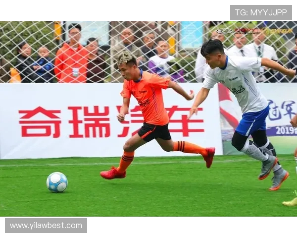 杭州排球队战术变革引发热议新思路助力竞技水平提升