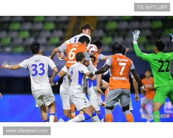 武汉排球队整体表现分析:压制对手与自身不足的双重考量