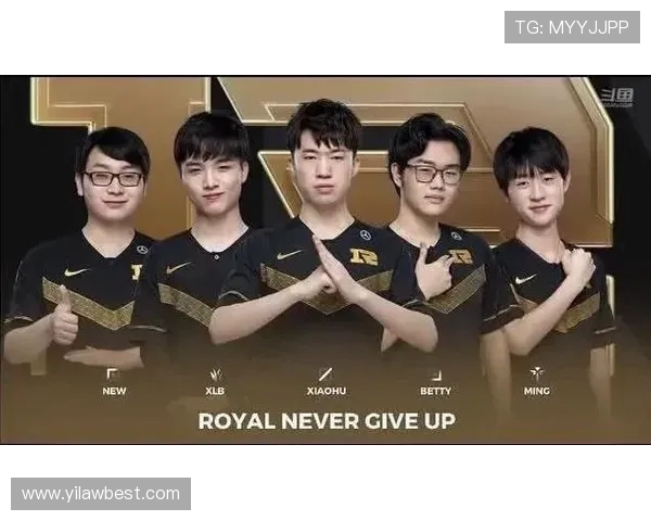 王者荣耀战术深度解析：BLG团队协作与战略布局全景分析